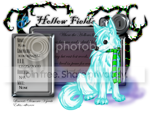 User Image